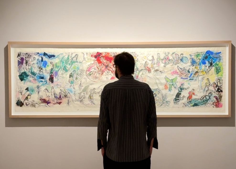 visitatore in mostra